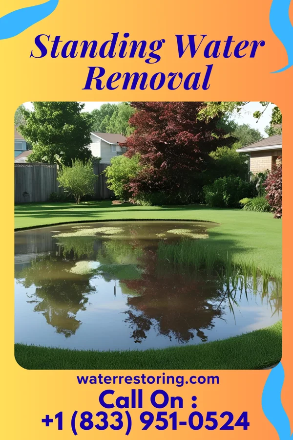 Standing Water Removal in Glenham, SD